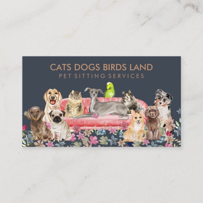 Dog Cat Bird Hotel Sofa Pet Sitting Business Card