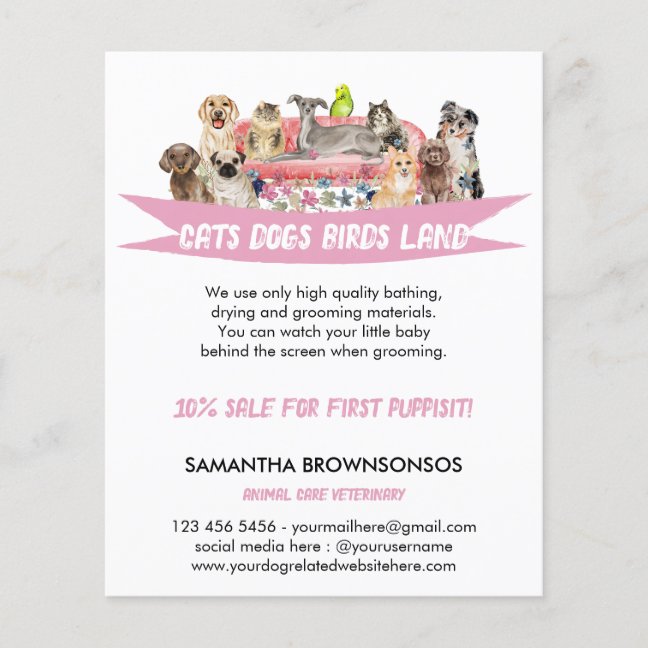 Dog Cat Bird Hotel Sofa Pet Sitting Services Flyer