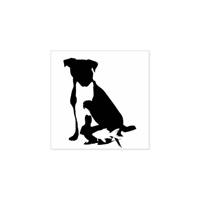 Dog Cat Bird Rabbit Pet Veterinarian Rubber Stamp