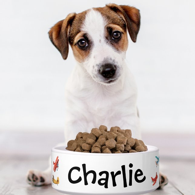 Dog Cat Bowl Cute Watercolor Airplane Name Custom (Creator Uploaded)