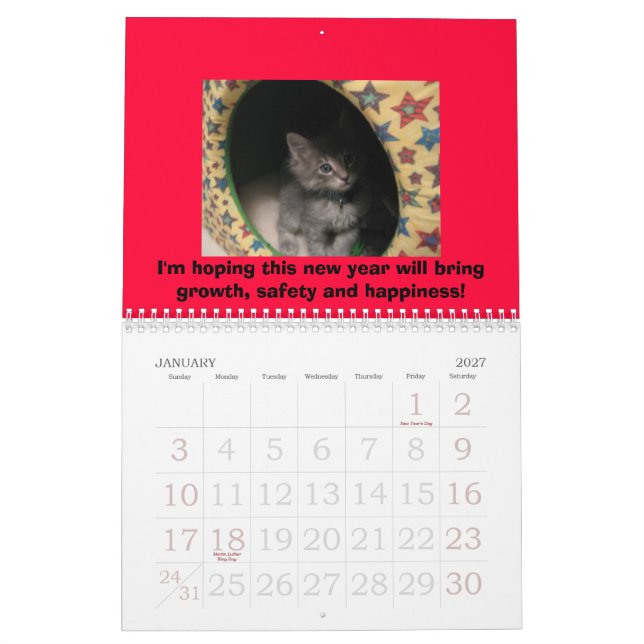 Dog & Cat Calendar (Jan 2027)