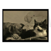 Dog & Cat Cuddle Card (Front Horizontal)