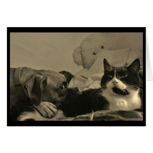 Dog & Cat Cuddle Card (Front Horizontal)