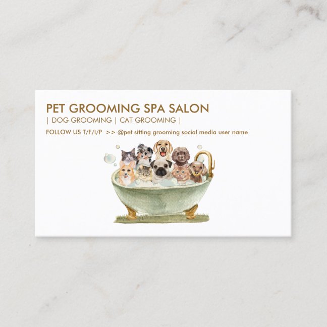 Dog Cat Flea Bath Service Business Card