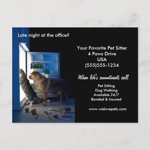 Dog  Cat Home Alone Midnight Pet Sitter Postcard