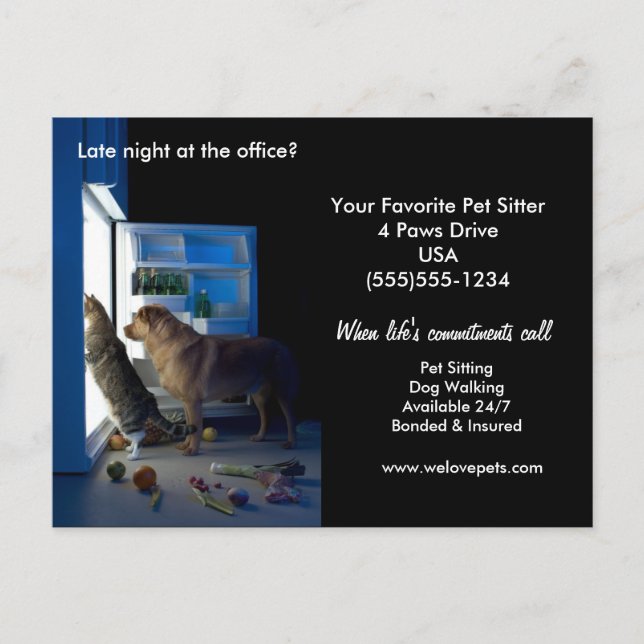 Dog & Cat Home Alone Midnight Pet Sitter Postcard (Front)