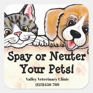 Dog Cat Kitten Message Veterinarian Animal Rescue Square Sticker