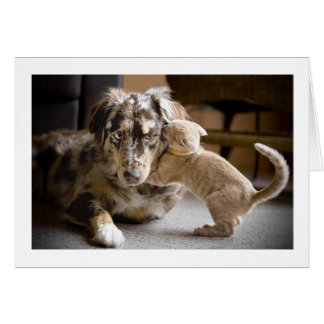 Dog & Cat Love #1 Cards