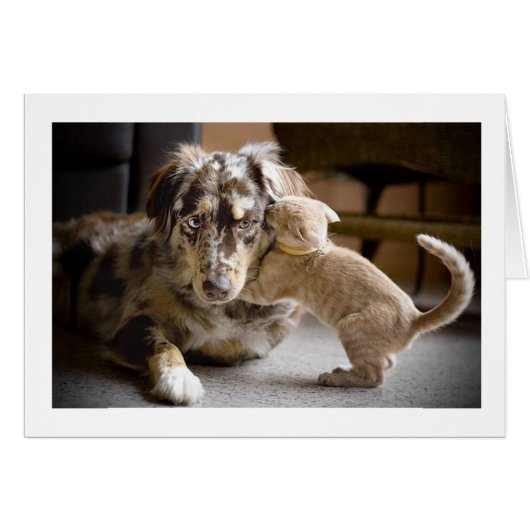 Dog & Cat Love #1 Cards (Front Horizontal)