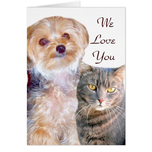 Dog & Cat,Love_ Cards (Front)