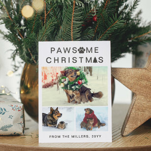 Dog & Cat Pawsome Christmas Pet Photos Letterpress Photo Cards