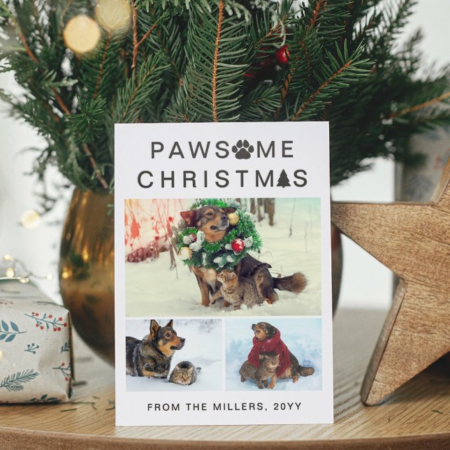 Dog & Cat Pawsome Christmas Pet Photos Letterpress Photo Cards (Creator Uploaded)