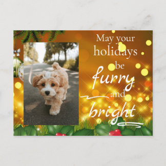 Dog Cat Pet Custom Photo Christmas Postcard Funny