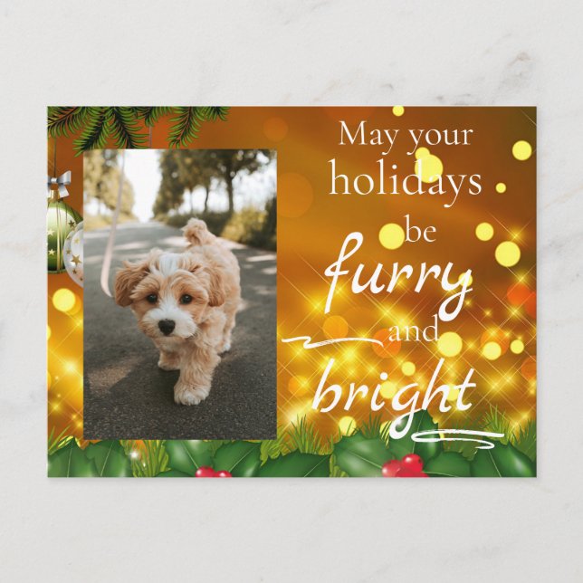 Dog Cat Pet Custom Photo Christmas Postcard Funny (Front)