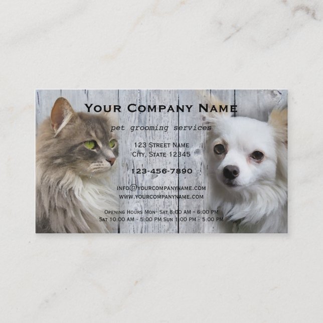 Dog Cat Pet Grooming Salon Business Card (Front)