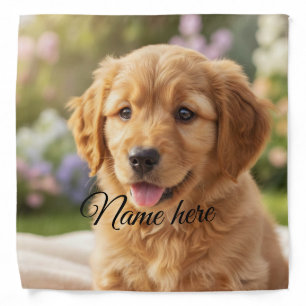 Dog cat pet name photo template simple minimal  bandana