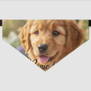 Dog cat pet name photo template simple minimal bandana collar