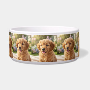 Dog cat pet name photo template simple minimal bowl