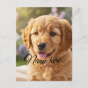 Dog cat pet name photo template simple minimal postcard