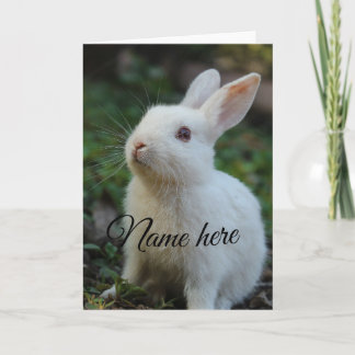 Dog cat pet name photo template simple rabbit