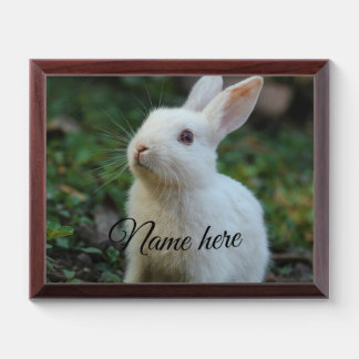 Dog cat pet name photo template simple rabbit award plaque