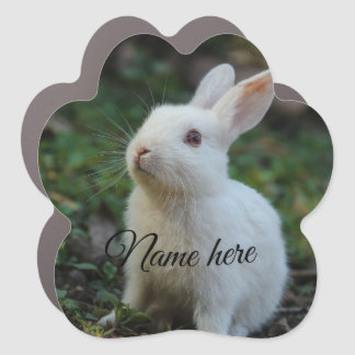 Dog cat pet name photo template simple rabbit car magnet