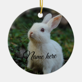 Dog cat pet name photo template simple rabbit ceramic ornament