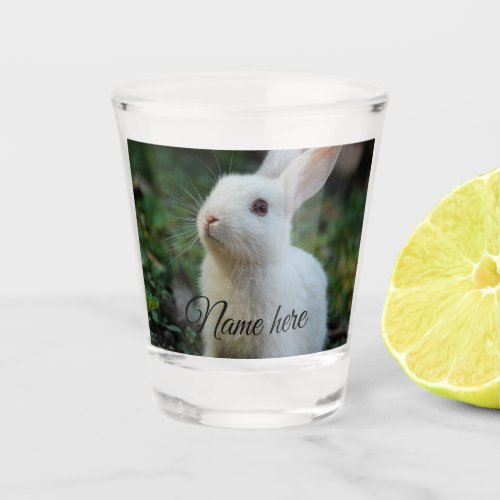 Dog cat pet name photo template simple rabbit  shot glass