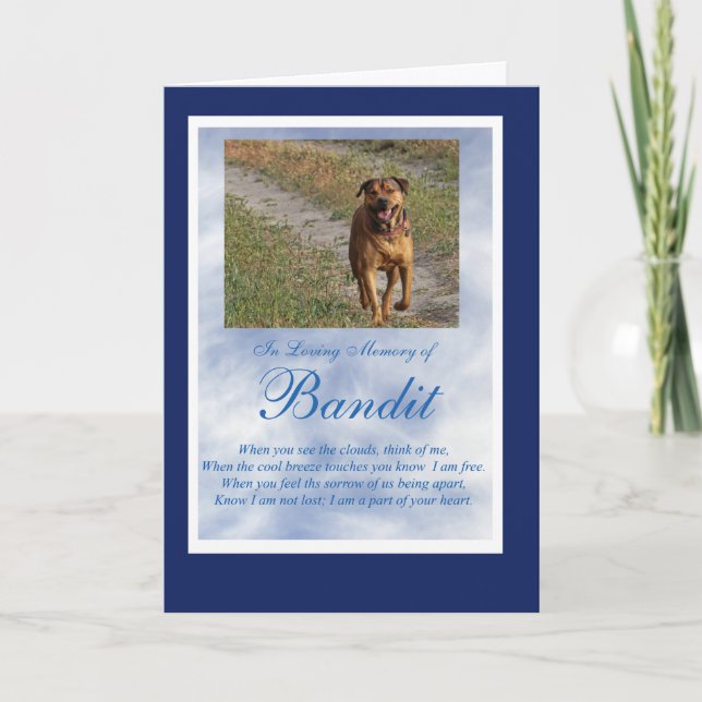 Dog Cat Pet Sympathy Custom Photo Spiritual Poem Card (Front)