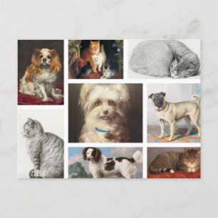 Dog Cat Pets 8 Photo Portrait Collage Keepsake Holiday Postcard