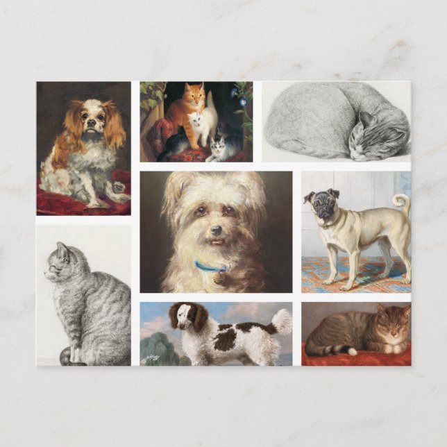 Dog Cat Pets 8 Photo Portrait Collage Keepsake Holiday Postcard (Front)