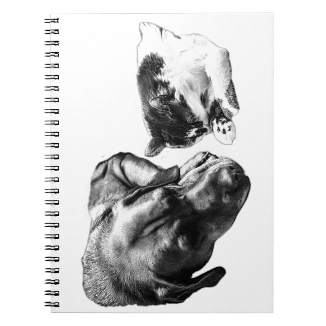Dog & Cat Resting Together Monochrome Notebook (Front)