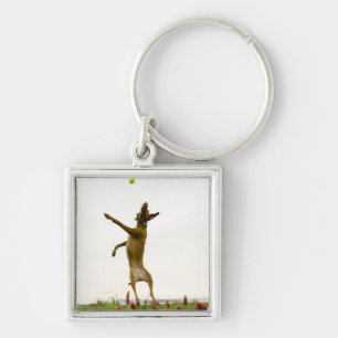 Dog catching tennis ball in mid-air keychain