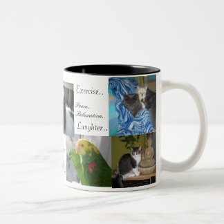 Dog,cats, birds,best friends Two-Tone coffee mug