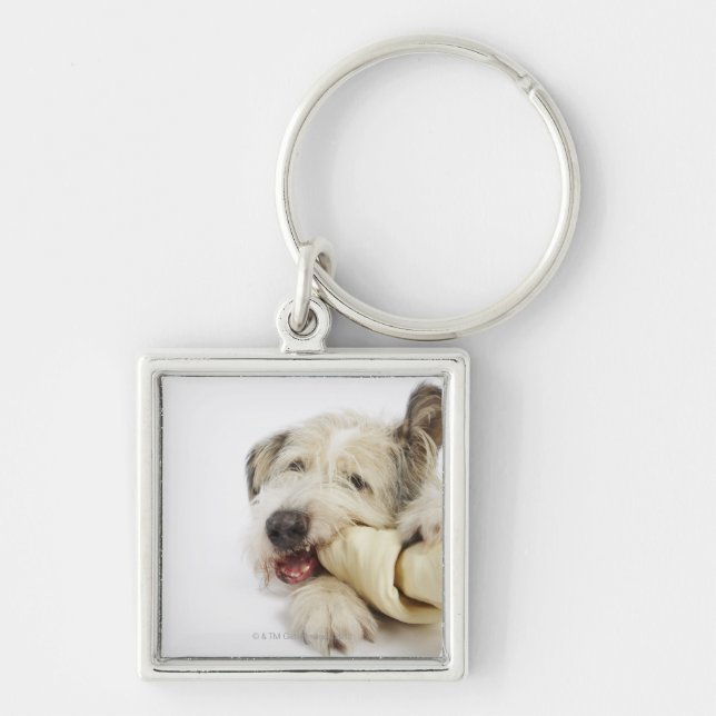 Dog Chewing on Rawhide Bone Keychain (Front)
