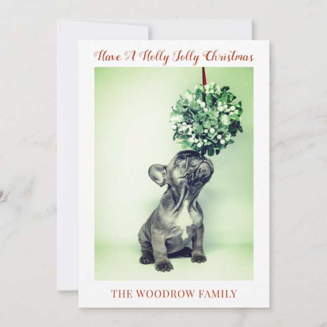 Dog Christmas Holiday Cards (Front)