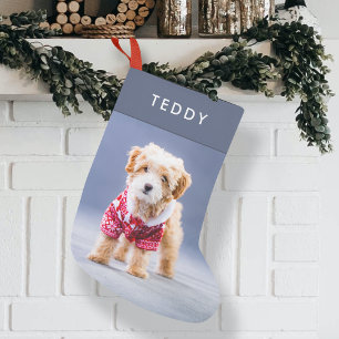 Dog Christmas Modern Cute Blue Pet Photo Small Small Christmas Stocking