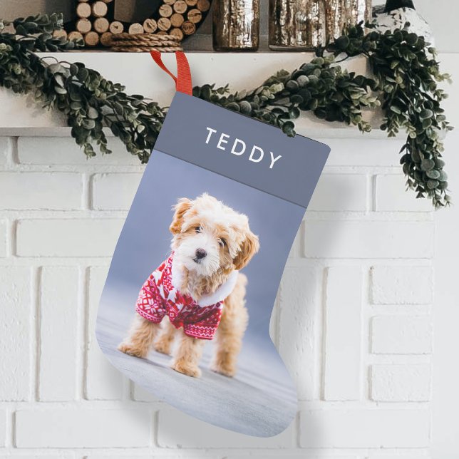 Dog Christmas | Modern Cute Blue Pet Photo Small Small Christmas Stocking (Creator Uploaded)