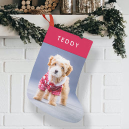Dog Christmas | Modern Cute Red Pet Photo Small Christmas Stocking