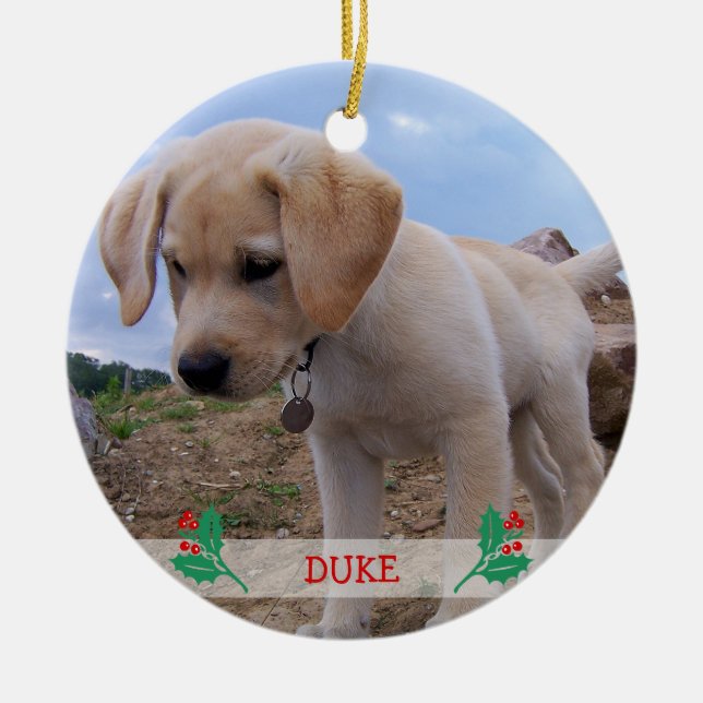 Dog Christmas Ornaments Personalized Photo (Front)