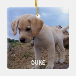 Dog Christmas Ornaments Photo Square