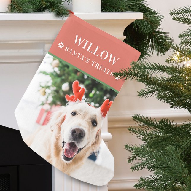 Dog Christmas Photo Modern Small Christmas Stocking (Dog Christmas Photo Modern Small Christmas Stocking)