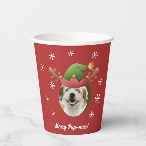 Dog Christmas Photos w Elf Reindeer Antler Hats Paper Cups
