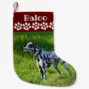 Dog Christmas Stocking Photo