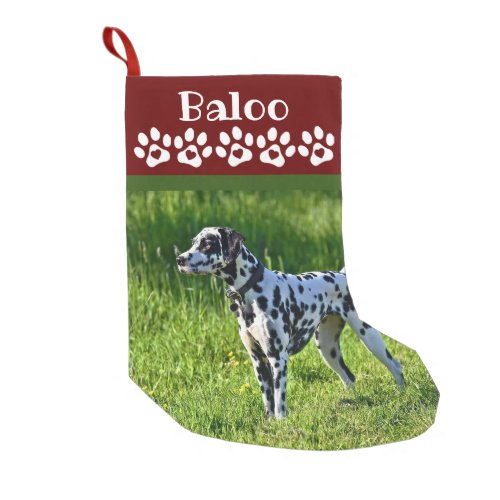 Dog Christmas Stocking Photo