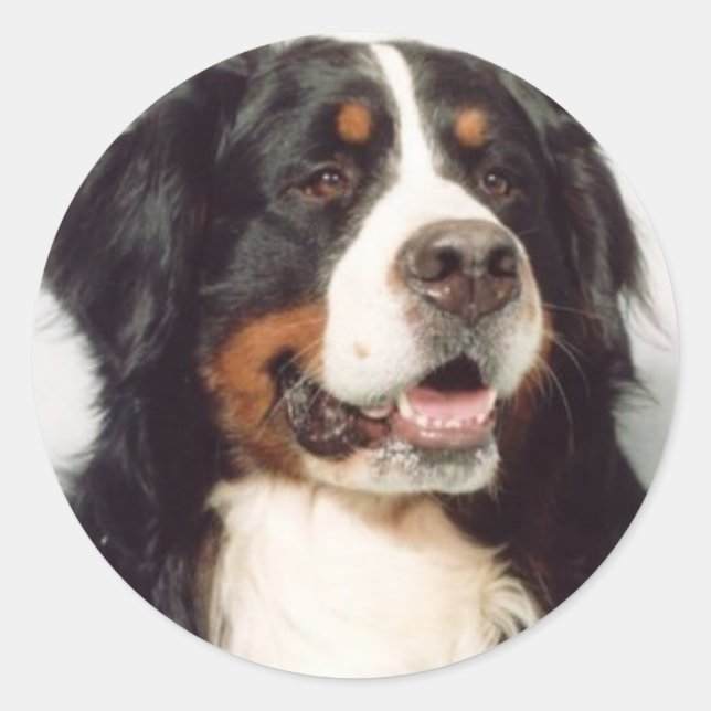 Dog Classic Round Sticker (Front)