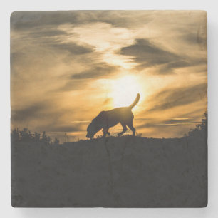 Dog Coaster