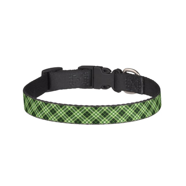 Dog Collar (Front)