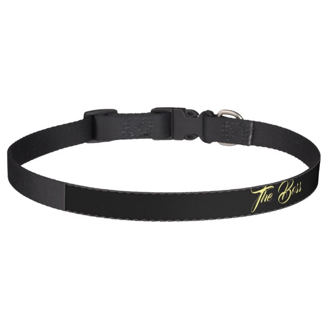 DOG COLLAR ART AND DESIGN STYLE  (Front)