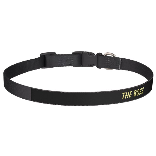 DOG COLLAR ART AND DESIGN STYLE  (Front)